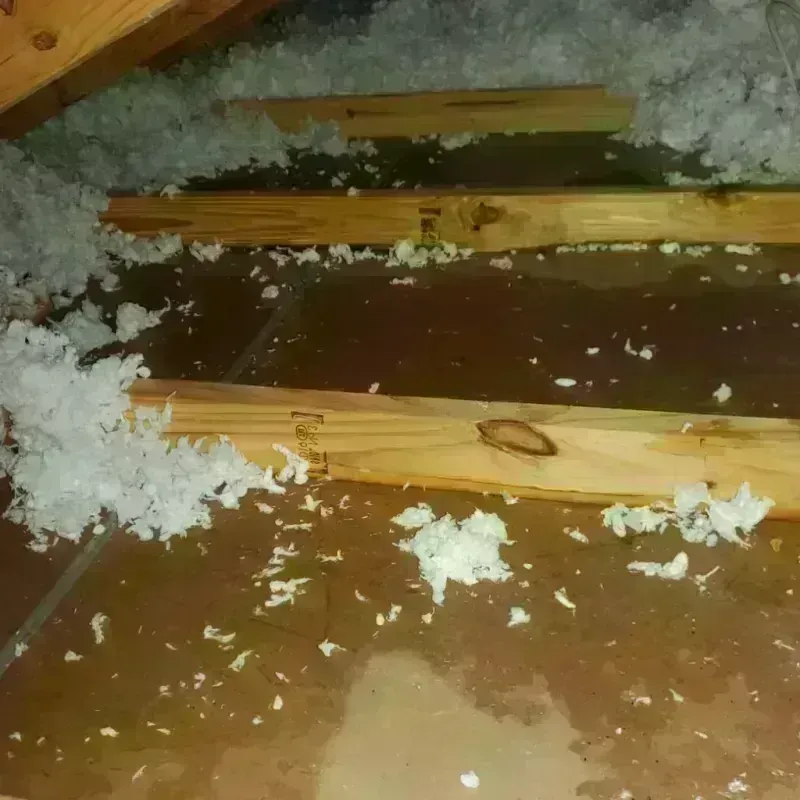 Attic Water Damage in Warsaw, KY