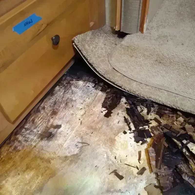 Wood Floor Water Damage in Warsaw, KY